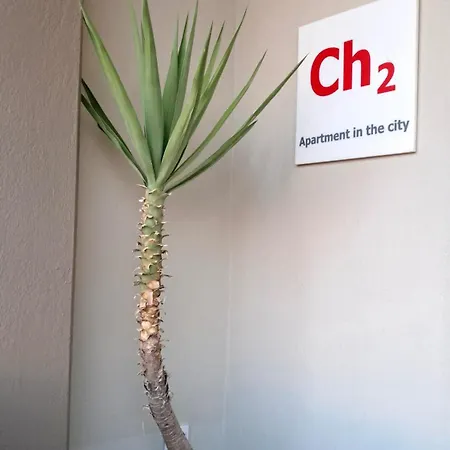 Ch2 In The Apartment *